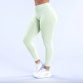 Sculpt Leggings (Mint)